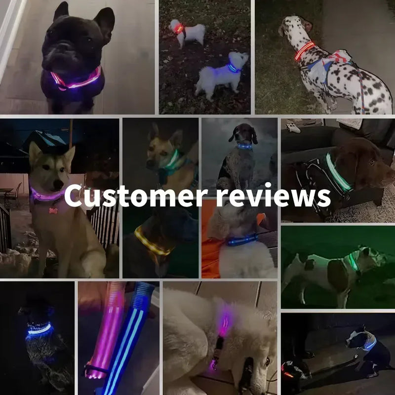 LUXPETS GlowSafe LED Hundehalsband | Leuchtend & Wiederaufladbar | Verstellbar & Wasserdicht | Anti-Verlust bei Nacht