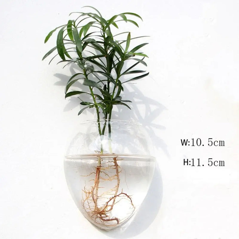 Glas Blumenvase | Transparent & Minimalistisch | Hitzebeständig & Korrosionsfest | 100 g