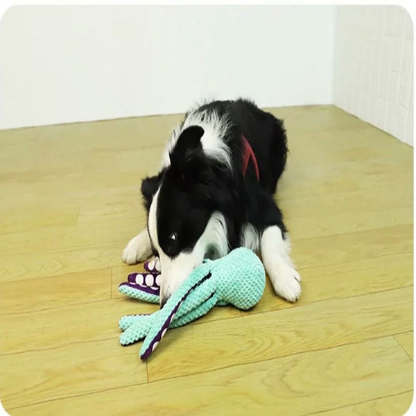 PfotenFreund Hundespielzeug Oktopus | Mit Quietschfunktion | Anti-Langeweile & Zahnpflege | Weiches Plüsch in Blau