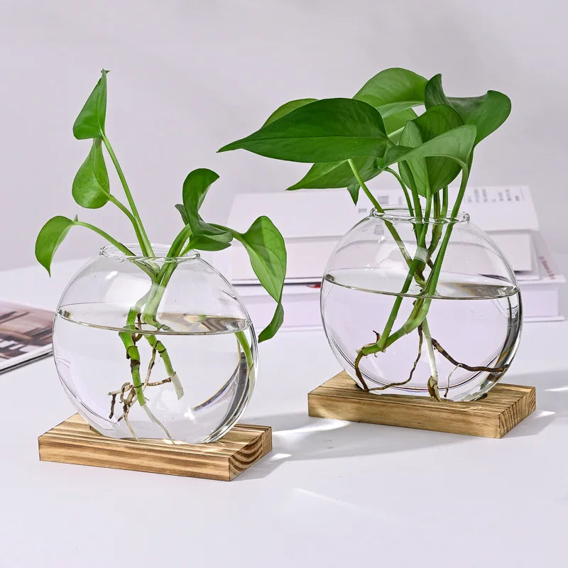 Verdura 2er-Set Glas Terrarium mit Holzständer | Reagenzglas-Vasen für Stecklinge & Hydrokultur | Moderne Deko für Zuhause & Büro