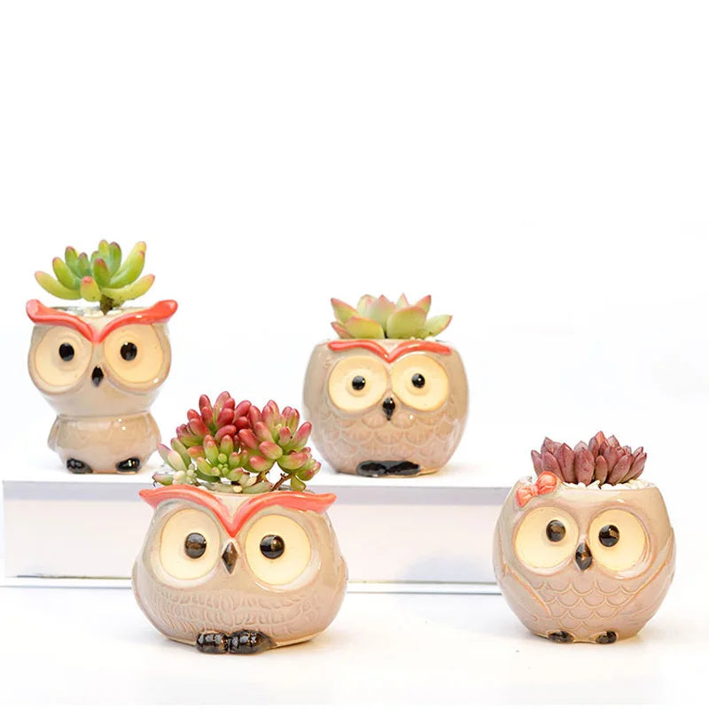 Owlivia | Keramik Eulen Blumentopf | Für Sukkulenten & Kakteen | Dekoration & Geschenkidee
