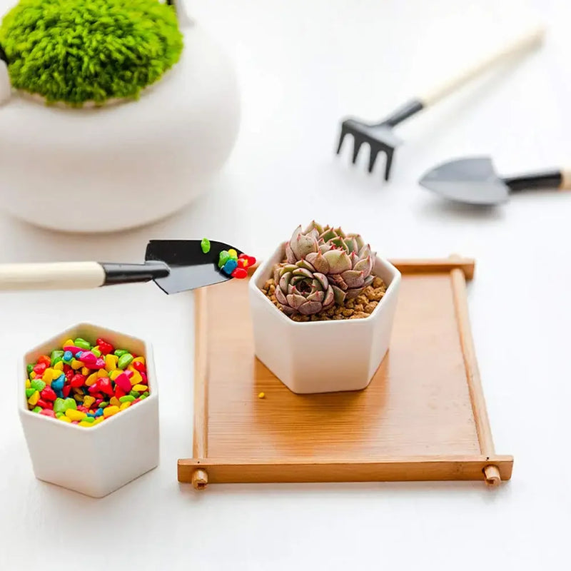 Floravio Mini Gartenwerkzeug-Set | Ideal für Sukkulenten & Bonsai | Ergonomisch & Robust | Holz & Stahl