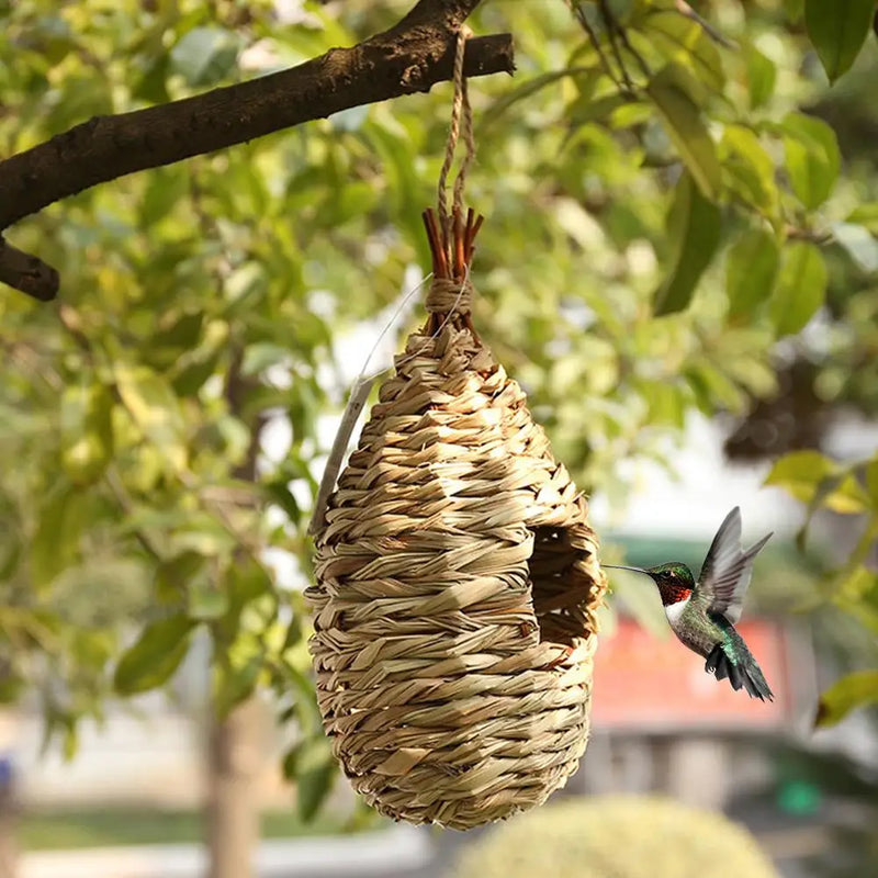 Nestoria | Handgeflochtenes Vogelhaus aus Hibiskusgras | Natürliches Nist- & Brutnest für den Garten | Wetterfest & Atmungsaktiv