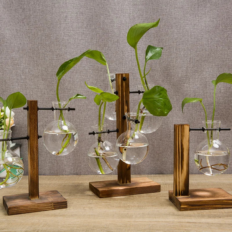 Naturiva Design Glasvase mit Holzrahmen | Für Schnittblumen & Hydrokultur | Skandinavischer Stil | 3-teiliges Set