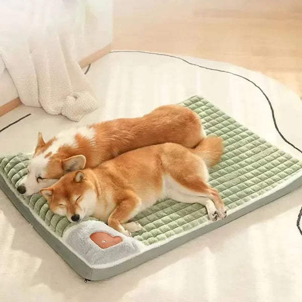 PAWSOMNIA Orthopädisches Hundebett | Abnehmbarer Bezug & Waschbar | Memory Foam | Für Hunde & Katzen