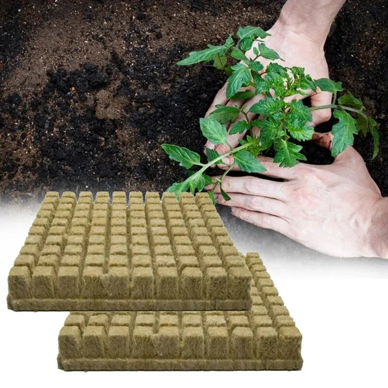 Anzuchtwürfel GrowCube | Für Hydrokultur & Anzucht | Luftdurchlässig & Wasserabsorbierend | 50er-Set à 2,5×2,5×2,5 cm