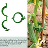 Plantigo Pflanzenclips 100 Stück | Wiederverwendbar & Schnellverschluss | Für Tomaten, Gurken & Kletterpflanzen | Ø 2,5 cm