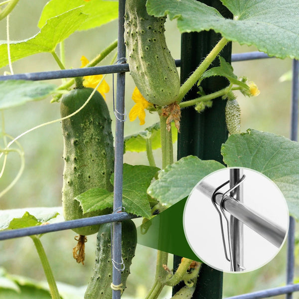 GrowLink Pflanzenstützverbinder | Stabil & Wiederverwendbar | Für 11/16/20mm Stangen | 50er Set