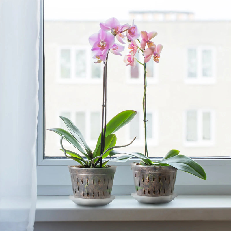 Orchideen Blumentöpfe Klar | 5er Set | Mit Drainagelöchern | Transparent & Stabil – Florvista
