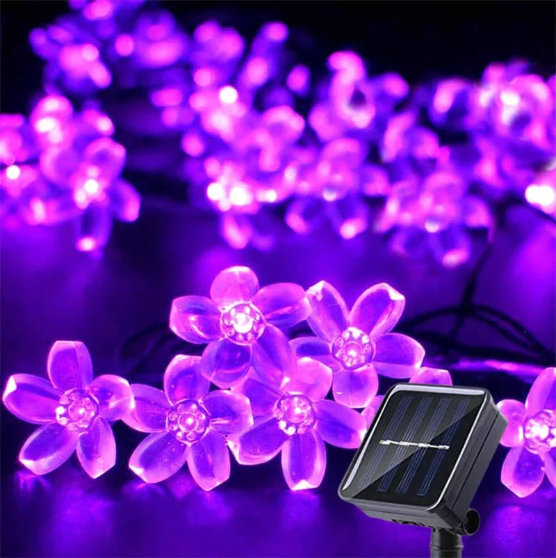 LumiSola Solar Lichterkette | 20–100 LEDs | Warmweiß, Weiß oder RGB | 8 Modi | Für Garten & Balkon | 5–12m