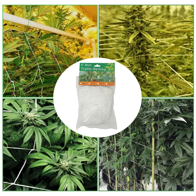 VertiGrow Pflanzen-Kletternetz 10 m | Robust & UV-beständig | Platzsparende Rankhilfe für Gemüse & Blumen