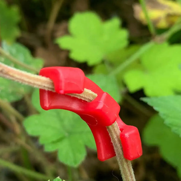 GrowFlexx Pflanzenbiege-Clips 90° | Wachstumstrainer für Zweige & Triebe | 10–50 Stück | Low-Stress-Training für höhere Erträge