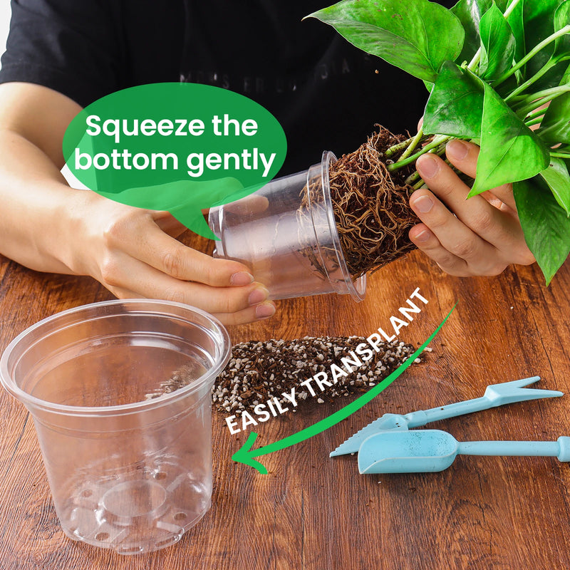 ClarityGrow Pflanztopf-Set | 30er Set Transparent | 6,7" + 5" + 4" | Flexibel, Robust & mit Drainagelöchern