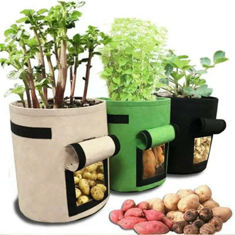 Pflanzsack RootView Garden | Filz-Pflanztasche mit Sichtfenster | 5/7 Gallonen | Für Kartoffeln, Gemüse & Kräuter | Atmungsaktiv & Wiederverwendbar