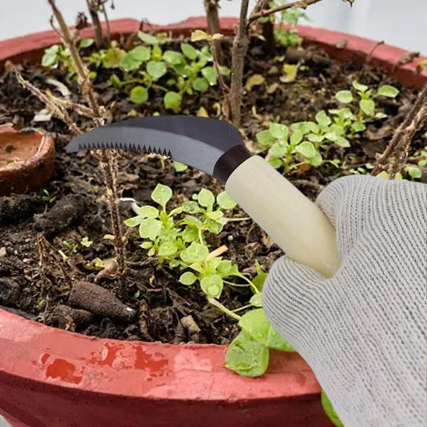 Horoji Japanisches Unkrautmesser | Edelstahlklinge & Holzgriff | Kompakt & Ergonomisch | Für Garten, Rasen & Bonsai