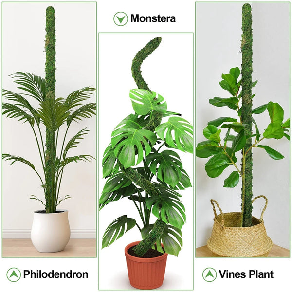 GreenFlex MossPole Biegsame Moosstäbe für Pflanzen | Handgefertigte Rankhilfe für Monstera & Zimmerpflanzen | 45 × 3 cm