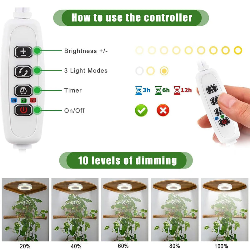 FloraHalo Pflanzenlampe | LED Pflanzenlampe Vollspektrum | 10 Helligkeitsstufen & Timer | Decken- & Unterbau-Halo-Licht für Zimmerpflanzen