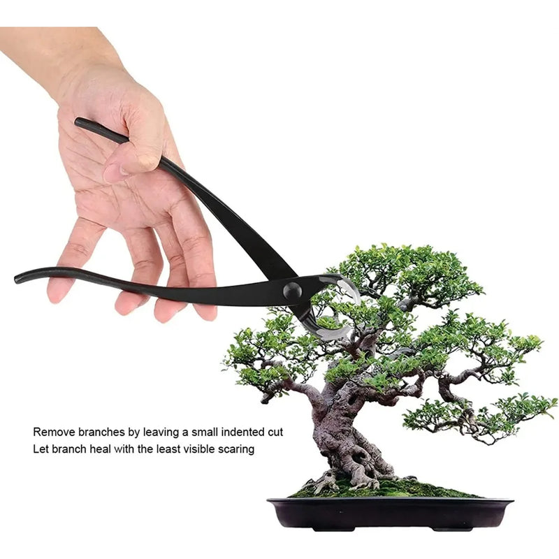 Bonsaura Bonsai Konkavschneider 21 cm | Hochfester Carbonstahl | Für Äste, Knospen & Wucherungen