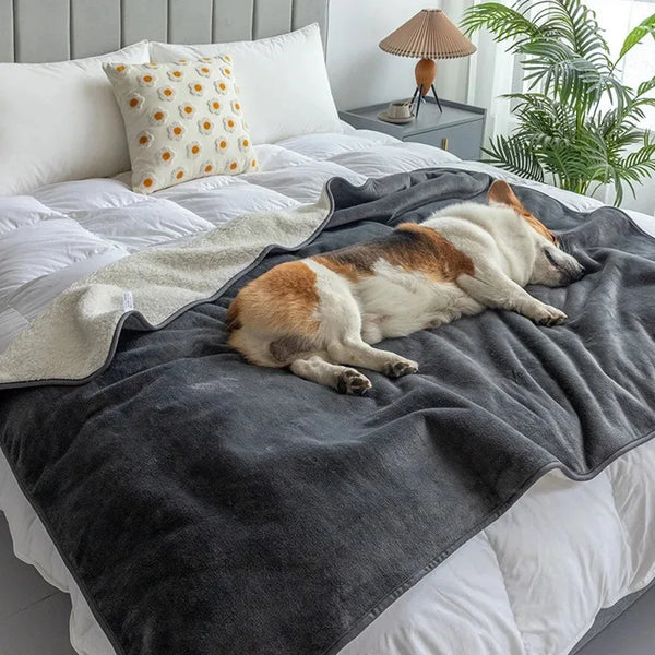 PawGuard Haustierdecke | Wasserdicht & Kuschelig | Für Hunde & Katzen | Schiefergrau