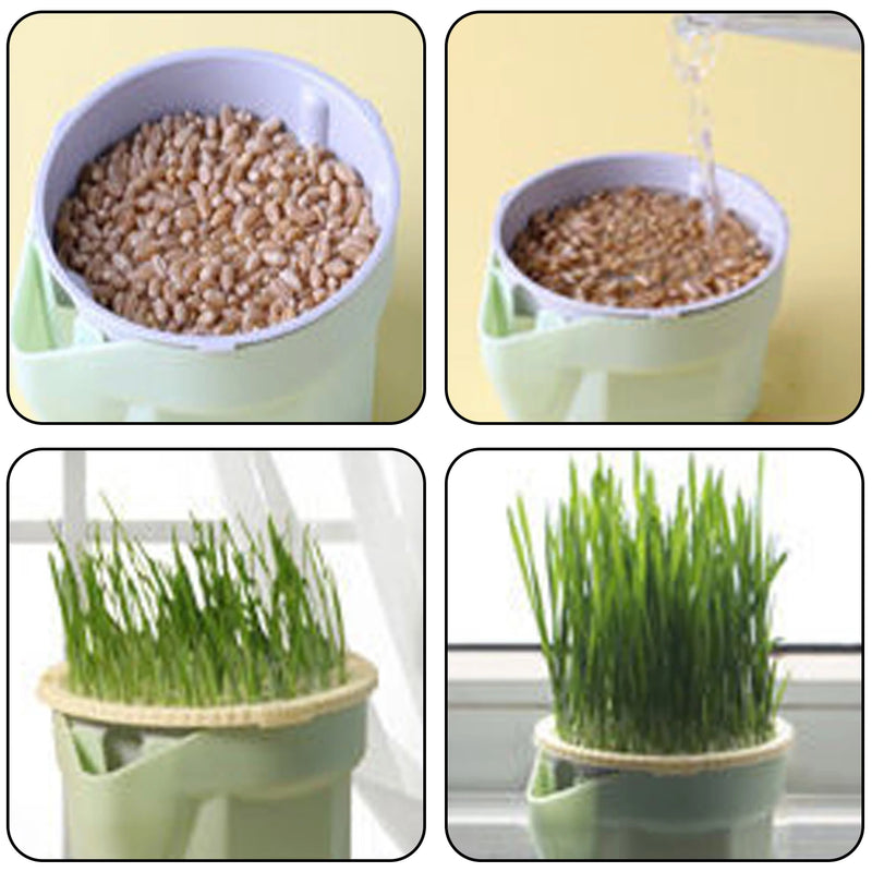 GreenPaws Keimschale | Cat Grass Pflanzbecher | Aus lebensmittelechtem PP | Für Weizengras, Bohnen & mehr | Ohne Erde