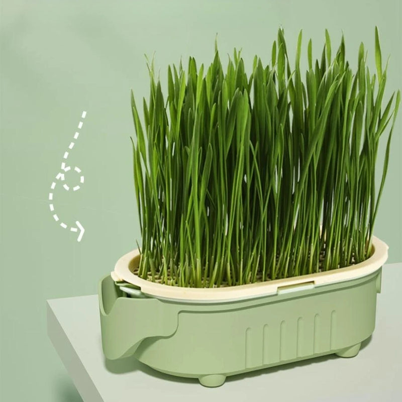Hydrokultur-Pflanzbecher Plantiva EasyGrow | Für erdlose Anzucht & Hydrosysteme | Wiederverwendbar & atmungsaktiv
