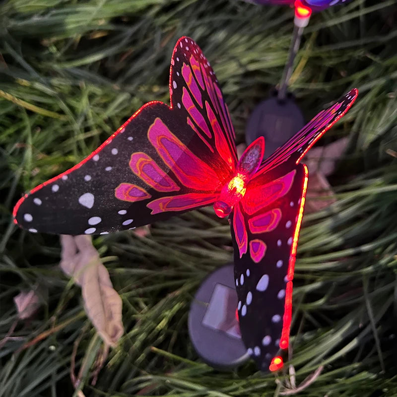 LichtFlügel Solar-Schmetterlingslichter 2er-Set | Bunt & Stimmungsvoll | Für Garten, Balkon, Feste & Hochzeiten