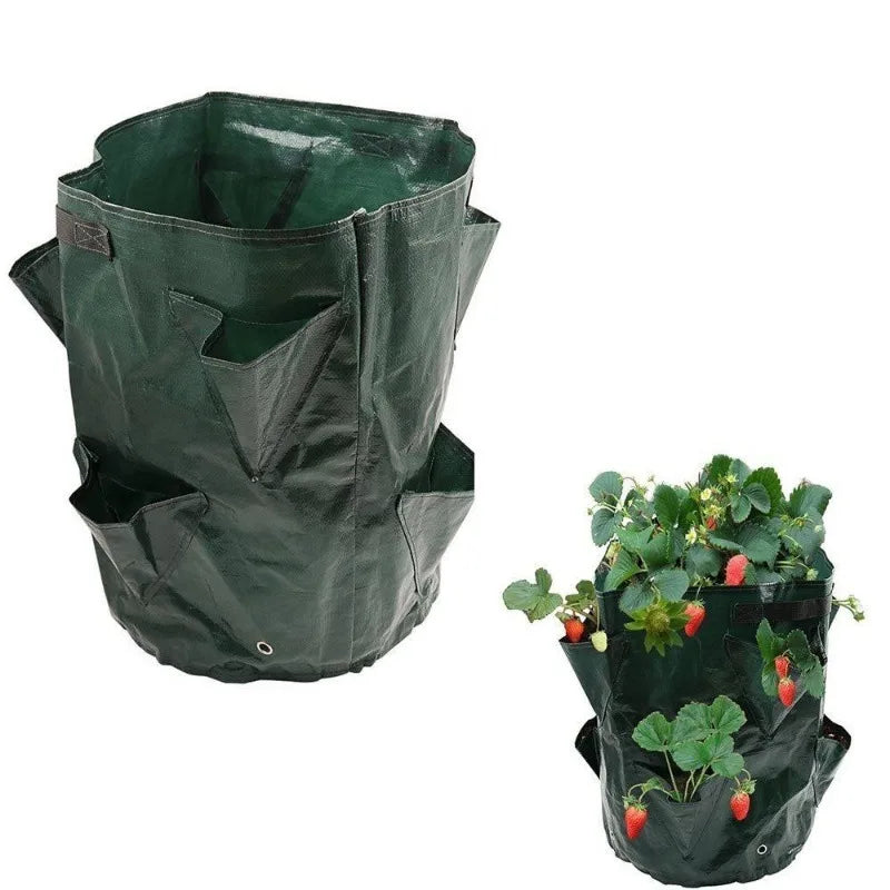 Plantuvo GrowBag Pflanzsack für Erdbeeren & Gemüse | 5/7/10 Gallonen | Mit Pflanzöffnungen & Tragegriffen | PE-Material | Faltbar & Wiederverwendbar