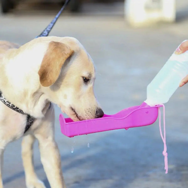 AquaPaw | Tragbare Hunde-Trinkflasche | Auslaufsicher & BPA-frei | 250ml/500ml | Für Unterwegs