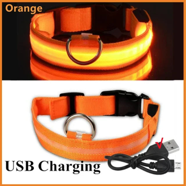 LUXPETS GlowSafe LED Hundehalsband | Leuchtend & Wiederaufladbar | Verstellbar & Wasserdicht | Anti-Verlust bei Nacht
