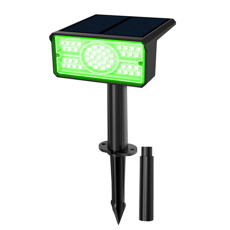 Solara LED Solarstrahler | 4 Lichtfarben | 49 LEDs | IP65 Wasserdicht | Energiesparend mit Solarpanel