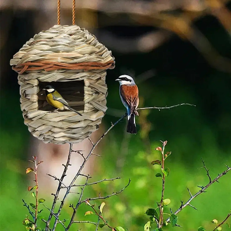 Nestoria | Handgeflochtenes Vogelhaus aus Hibiskusgras | Natürliches Nist- & Brutnest für den Garten | Wetterfest & Atmungsaktiv