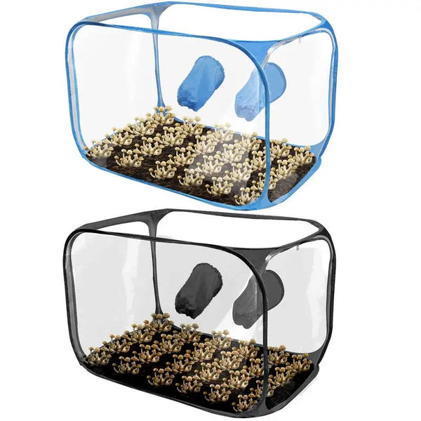 Pilzzuchtzelt MycoCube 91 | Transparentes PVC-Gewächshaus | Faltbar & Luftdicht | 91x59x58 cm