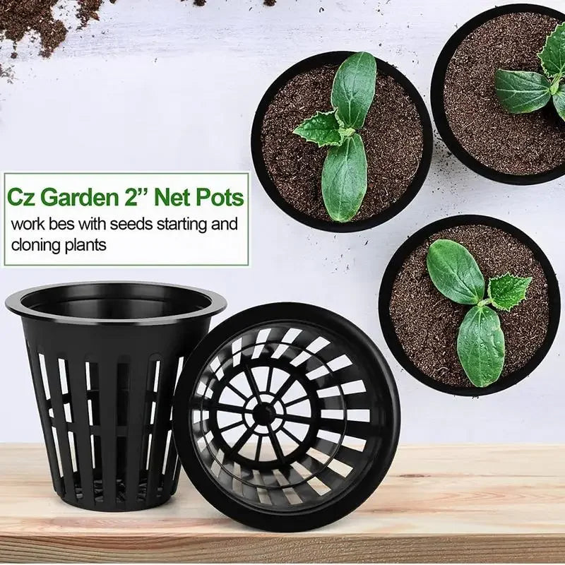 RootNet Grow | 50- 100er-Set Netzbecher für Hydrokultur & Anzucht | 5,5 × 5,5 × 5 cm | Wiederverwendbar & UV-beständig