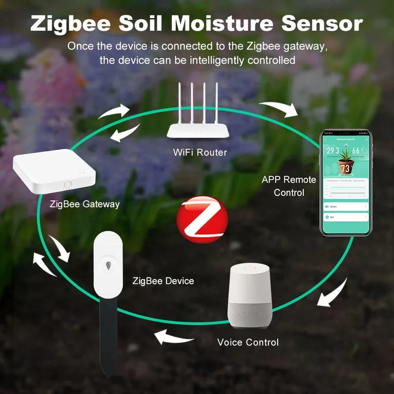 Smart Bodenfeuchtigkeitssensor GrowGuard | Zigbee 3.0 | App- & Sprachsteuerung | Für Pflanzenpflege & Gartenüberwachung