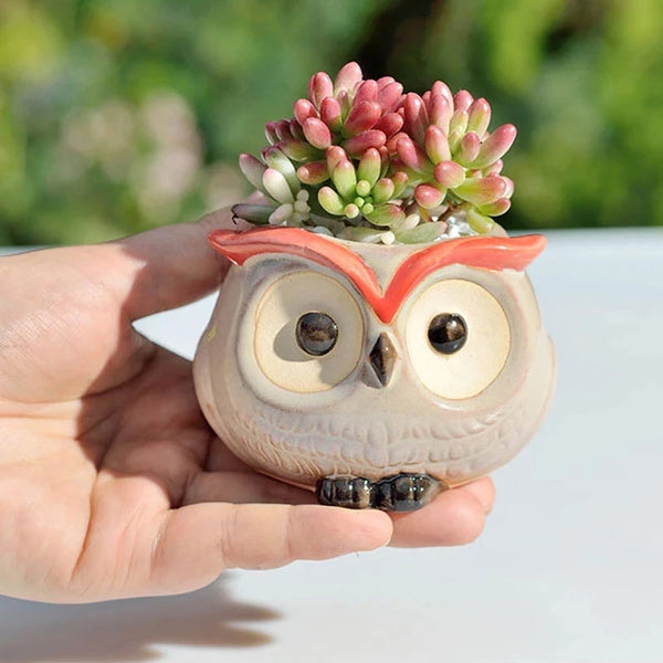 Owlivia | Keramik Eulen Blumentopf | Für Sukkulenten & Kakteen | Dekoration & Geschenkidee