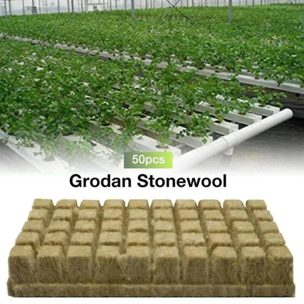 Anzuchtwürfel GrowCube | Für Hydrokultur & Anzucht | Luftdurchlässig & Wasserabsorbierend | 50er-Set à 2,5×2,5×2,5 cm