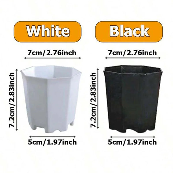 FloraForm Octa | 10er-Set Achteckige Blumentöpfe | Schwarz & Weiß | Atmungsaktiv | Für Sukkulenten & Setzlinge | Ø 8 cm