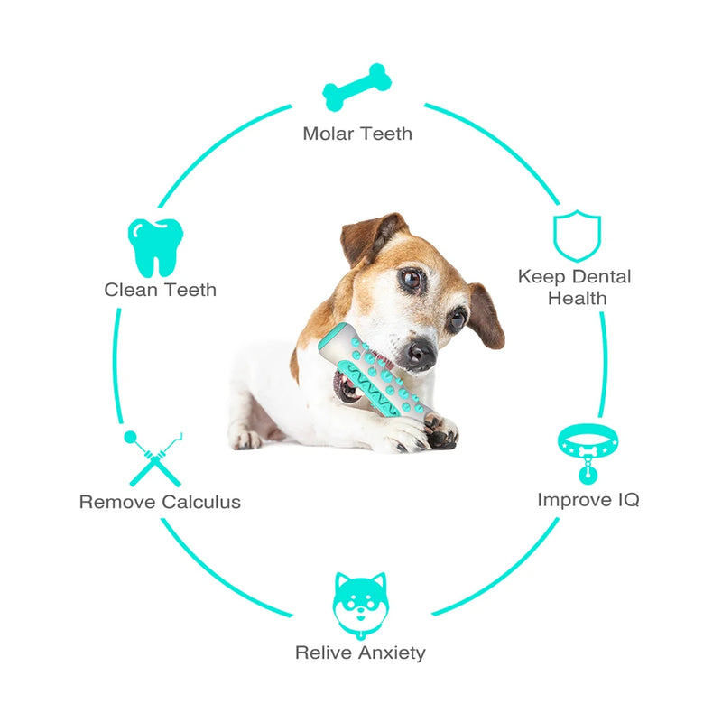 ChewCare Pro Hundezahnbürsten-Kauspielzeug | Interaktiver Kaustab für mittlere & große Hunde | Zahnreinigung & Stressabbau