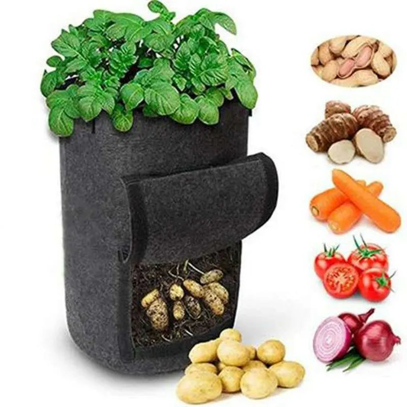 Pflanzsack RootView Garden | Filz-Pflanztasche mit Sichtfenster | 5/7 Gallonen | Für Kartoffeln, Gemüse & Kräuter | Atmungsaktiv & Wiederverwendbar