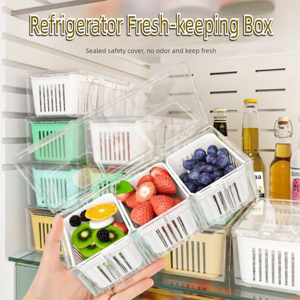 Organixo | Aufbewahrungsbox | Kompakt & Stapelbar | ABS | 22,7 x 9 x 6,7 cm