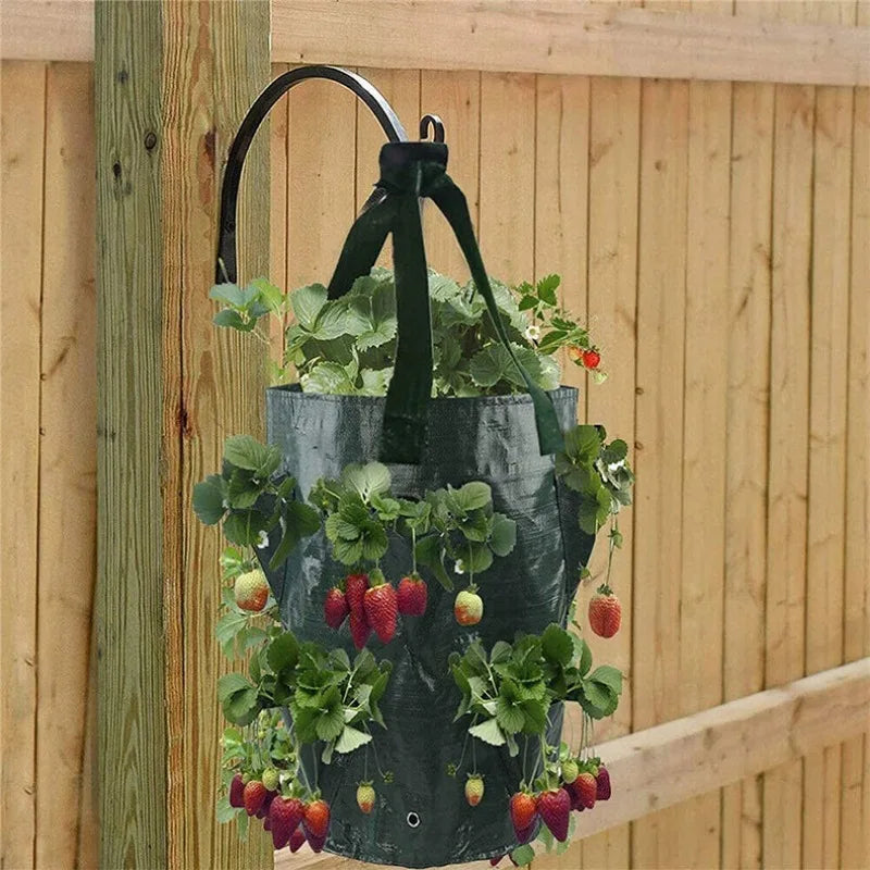 Growpura Pflanzsack Gemüse & Erdbeeren | 3 Gallonen PE Anzuchttasche mit Taschen | Wiederverwendbar & Wasserdicht
