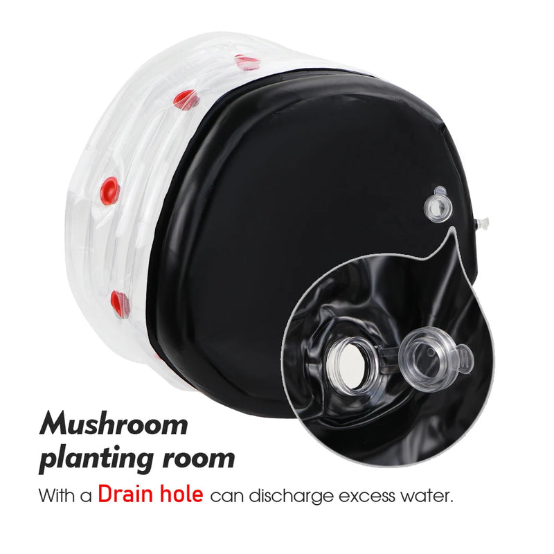MycoBox Pilzzucht-Set | Aufblasbare Growbag mit Luftfilter | Monotub für Zuhause & Garten