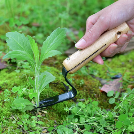 WeedTool - Kompakter Unkrautschneider