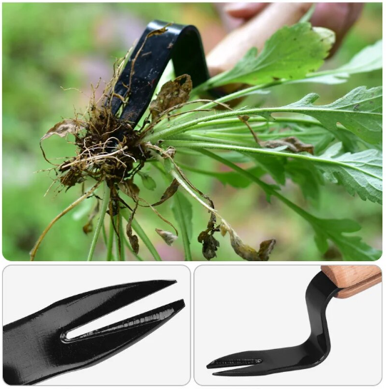 WeedTool - Kompakter Unkrautschneider