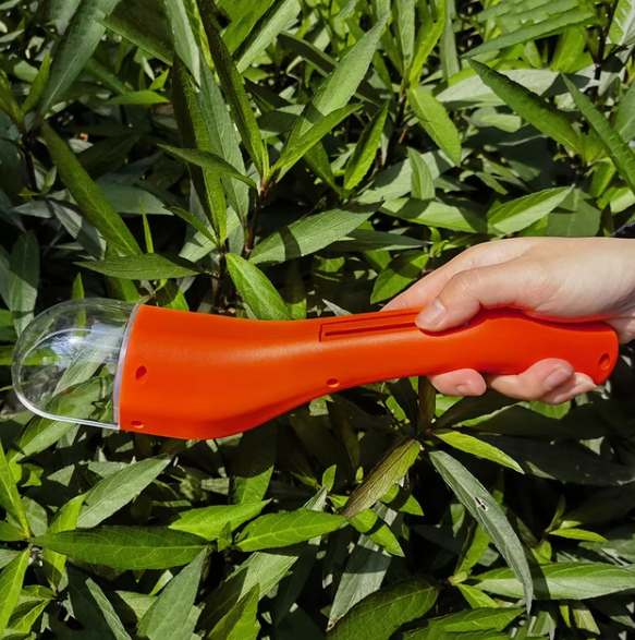 BugWhisper – Der sanfte Insektenretter!