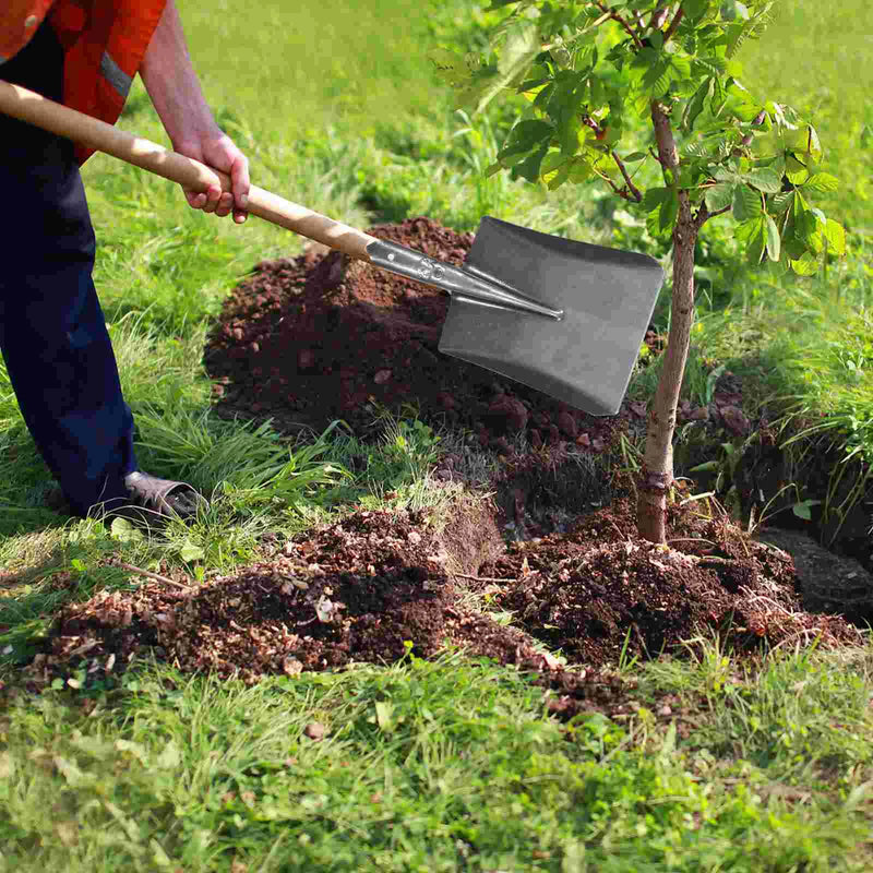RootEdge Gartenspaten | Hochwertiger Handspaten aus Kohlenstoffstahl | Für harte Böden, Rasenkanten & Wurzelarbeiten