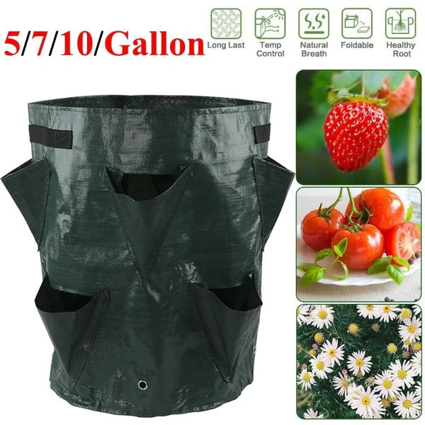 Plantuvo GrowBag Pflanzsack für Erdbeeren & Gemüse | 5/7/10 Gallonen | Mit Pflanzöffnungen & Tragegriffen | PE-Material | Faltbar & Wiederverwendbar