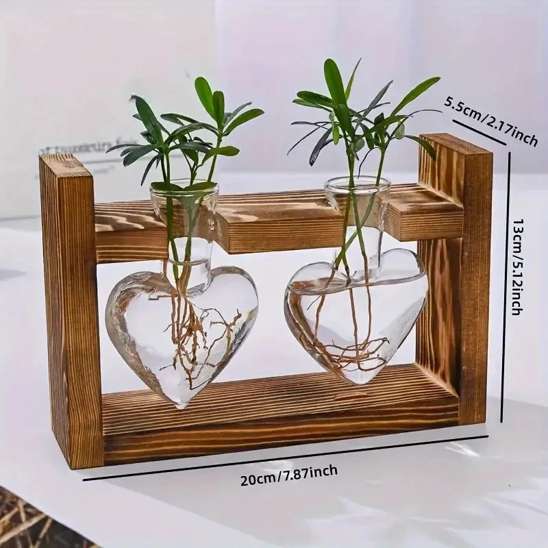 Hydrokultur-Vase Virella | Herzförmiges Glas im Holzrahmen | Dekorativ & Modern | Für Ableger & Zimmerpflanzen