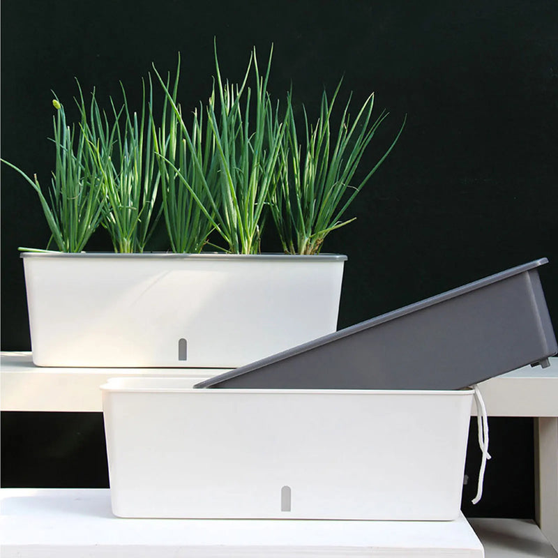Plantory DuoFlow Selbstbewässernder Blumentopf | Doppelkammer-Design mit Wasserstandsanzeige | 43,5 x 12 x 11 cm | Für Kräuter & Zimmerpflanzen
