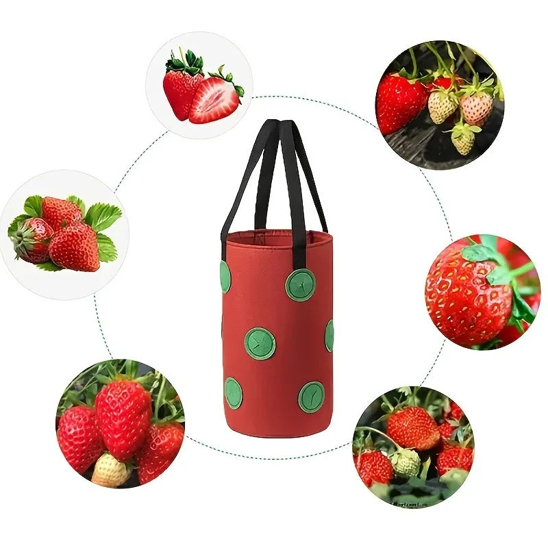 Vertiflor Hängender Pflanzsack mit 13 Taschen | Mehrzweck-Pflanztasche für Tomaten & Erdbeeren | Atmungsaktiv & Wiederverwendbar